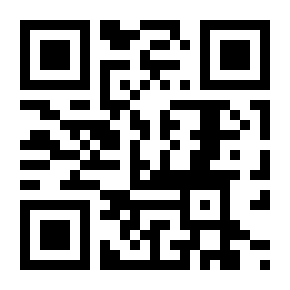 汽油机混合气体形成与燃烧