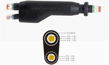 FZ-YJV-0.6/1kV 1×240/1×70